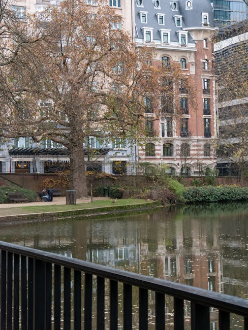 A view from a balcony or waterfront area showing a large deciduous tree with bare branches near a calm river or canal in an urban setting during autumn or winter. Behind the tree, there are multi-storey residential buildings with various architectural styles, including brick and modern glass facades. In the foreground, a black metal railing runs along the edge of the water. The area around the river includes grassy patches, small shrubs, and a few benches. The scene is well-lit with natural daylight, highlighting the reflections in the water and the textures of the buildings and foliage. This outdoor setting aligns with professional home relocation activities, as [COMPANY_NAME] provides comprehensive removals and moving services, including planning for moving logistics and transporting household furniture between properties.